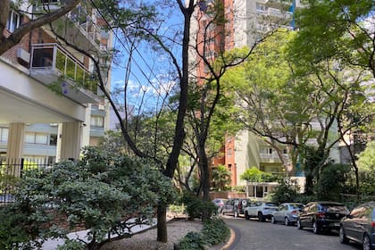 La Isla, en Olivos, tiene en su cercanía estaciones de trenes, accesos a la ciudad, autopistas y colegios de alto nivel