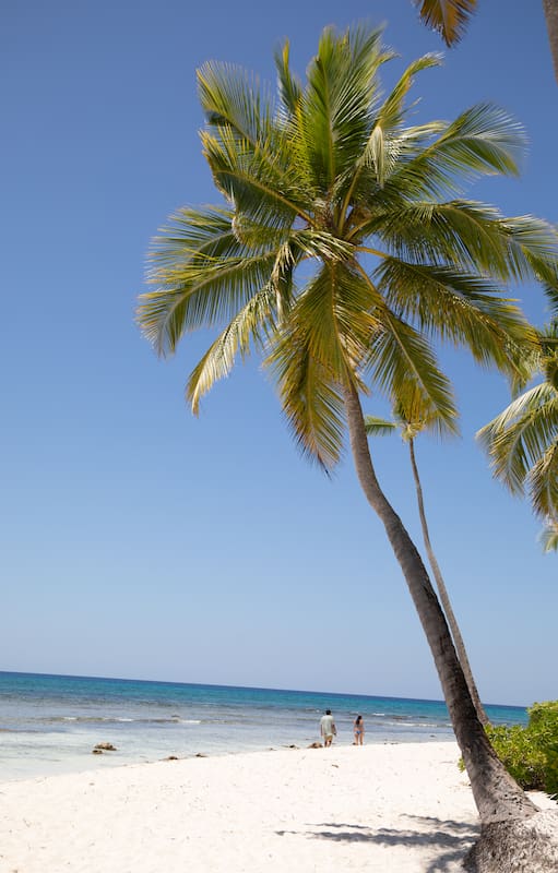 La isla no tiene hoteles y solo es posible visitarla por el día en lancha