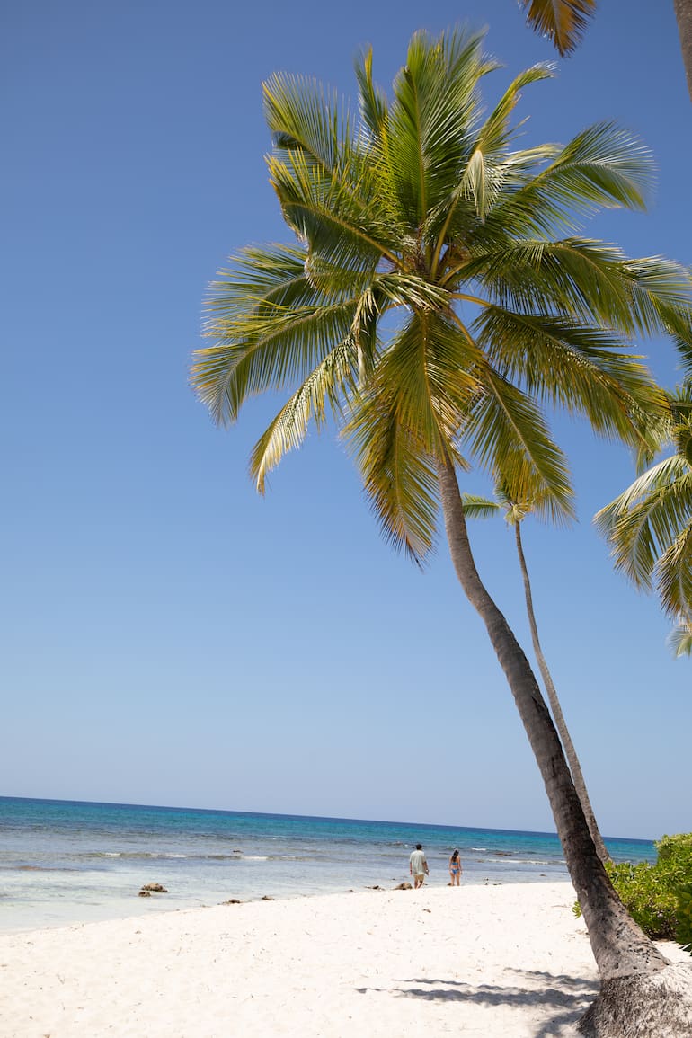La isla no tiene hoteles y solo es posible visitarla por el día en lancha