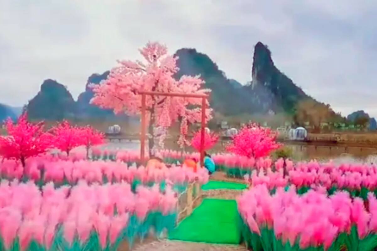 La isla que construyó Xu para reconquistar a su amor