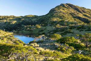Venden una “isla virgen” con lagos y bosque que está cerca de la Argentina