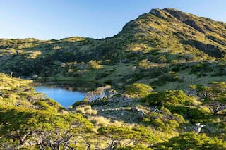 Venden una “isla virgen” con lagos y bosque que está cerca de la Argentina