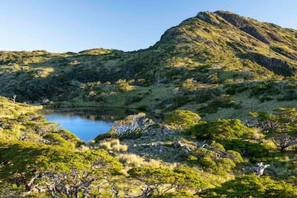 La Isla Traiguén está en venta en el sur de la Patagonia chilena