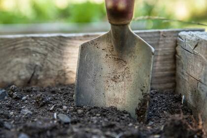 La jardinería es una buena opción para las personas de Cáncer