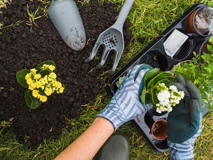 La jardinería requiere atención y dedicación (Foto: Freepik)