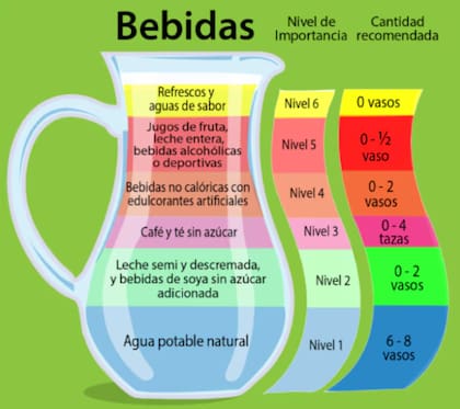 La jarra del buen beber indica las proporciones de los distintos tipos de líquidos que se pueden tomar durante el día