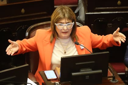 La jefa del bloque de LLA en el Senado, Patricia Bullrich, en pleno recinto