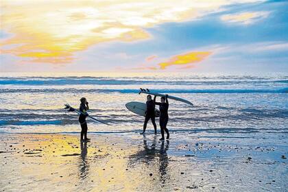 La Jolla, la playa de las buenas olas y cuevas para ver fauna marina