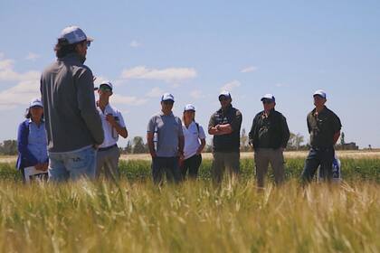 La jornada a campo en el campo experimental de Quilmes, en Tres Arroyos