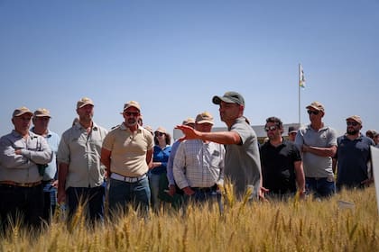 La jornada reunió a productores y técnicos