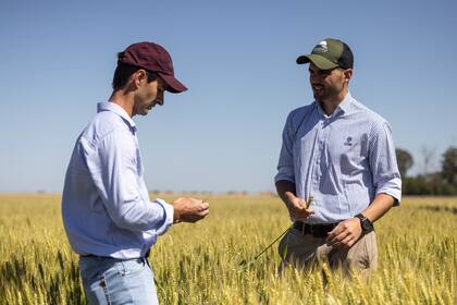 La jornada se hará el próximo jueves en Chacabuco