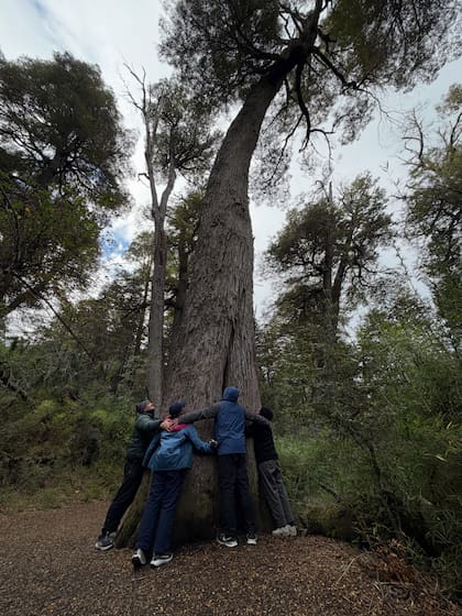 La joven encontró en la Patagonia el lugar para poner en marcha su proyecto personal (Foto: Instagram @gina_ciccone)