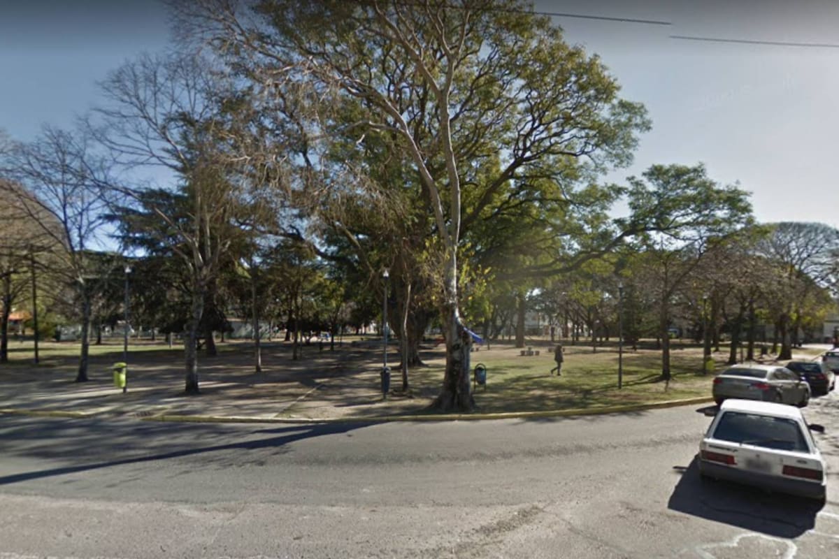 La joven fue interceptada por el violador en la zona de Plaza Brandsen, en La PLata