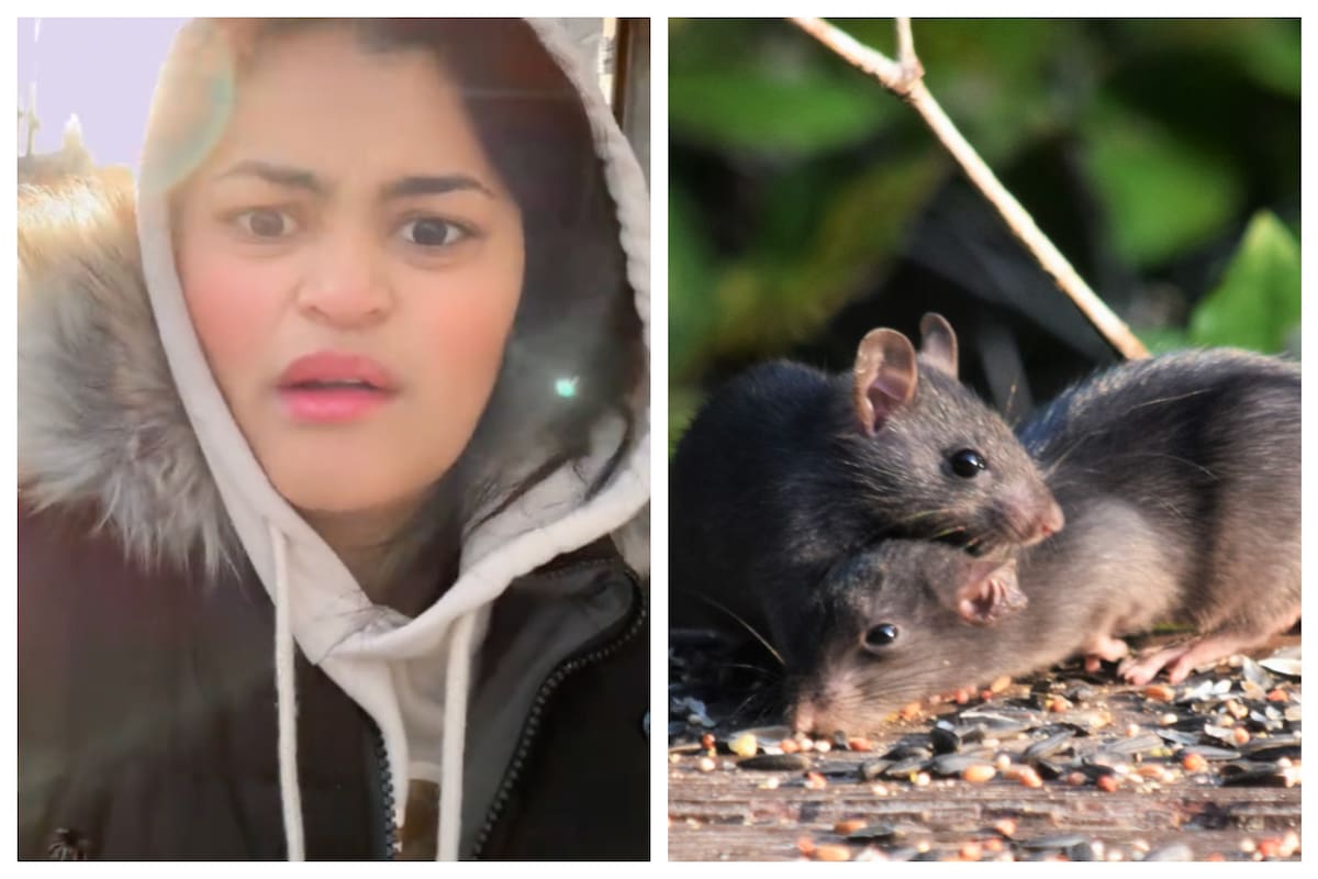 La joven latina compartió su experiencia con ratas y cucarachas en Nueva York