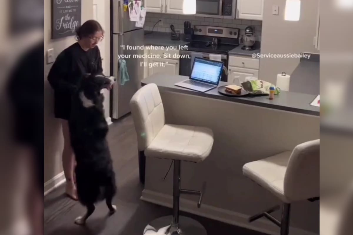 La joven mostró el momento en el que fue salvada por su perro (Captura video)