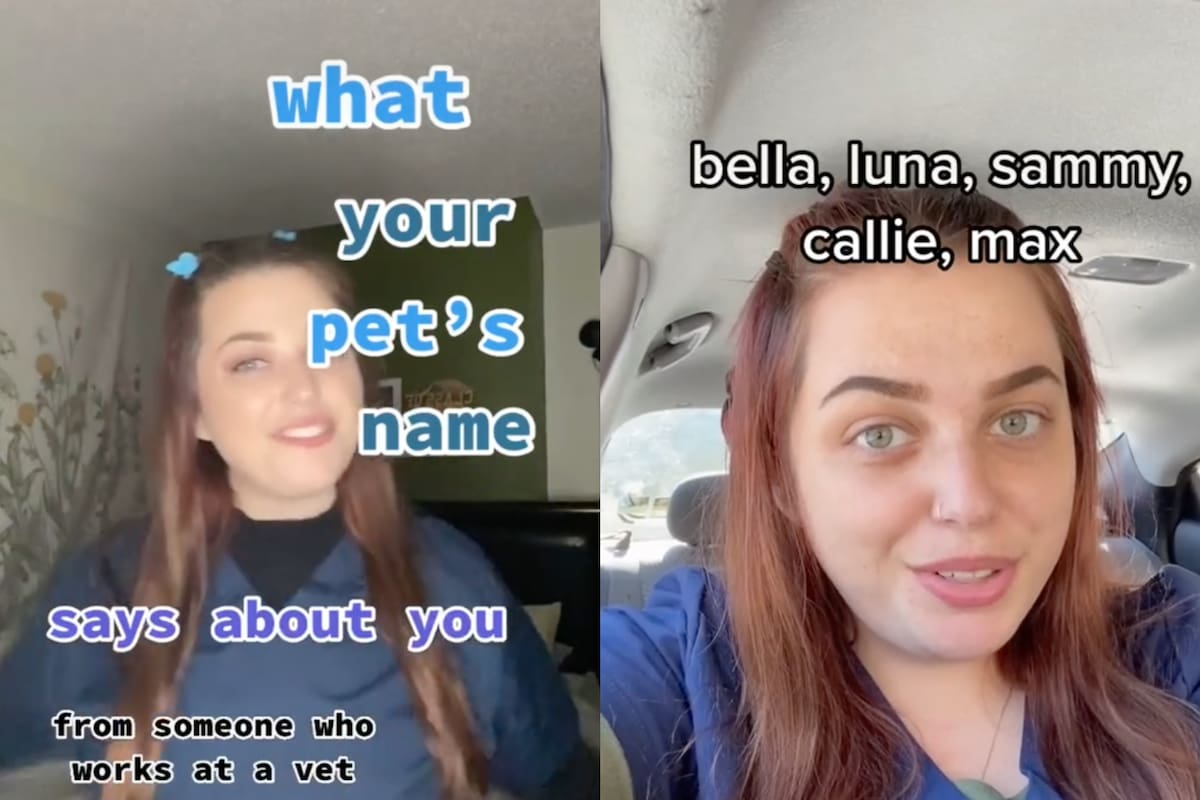 La joven parodió su experiencia como trabajadora de una veterinaria