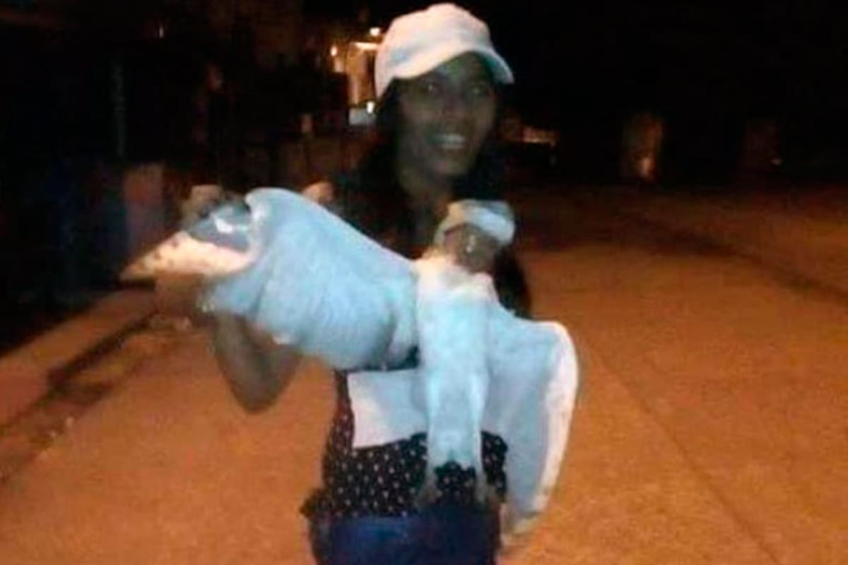 La joven publicó una serie de fotos con la lechuza que había sido decapitada viva. Ante el rechazo de sus seguidores, decidió borrarlas. Pero ya era tarde