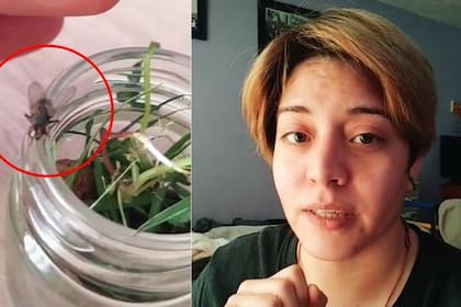 La joven se mostró contenta en TikTok por su nueva mascota llamada “Moscardo”