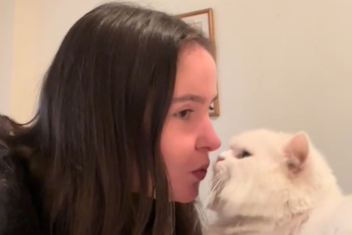 La joven sufrió una importante lesión en el ojo (Captura video)