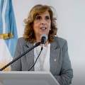 Tras suspender el nuevo régimen penal juvenil, la jueza Pascual sumó tres pedidos de juicio políticos en su contra