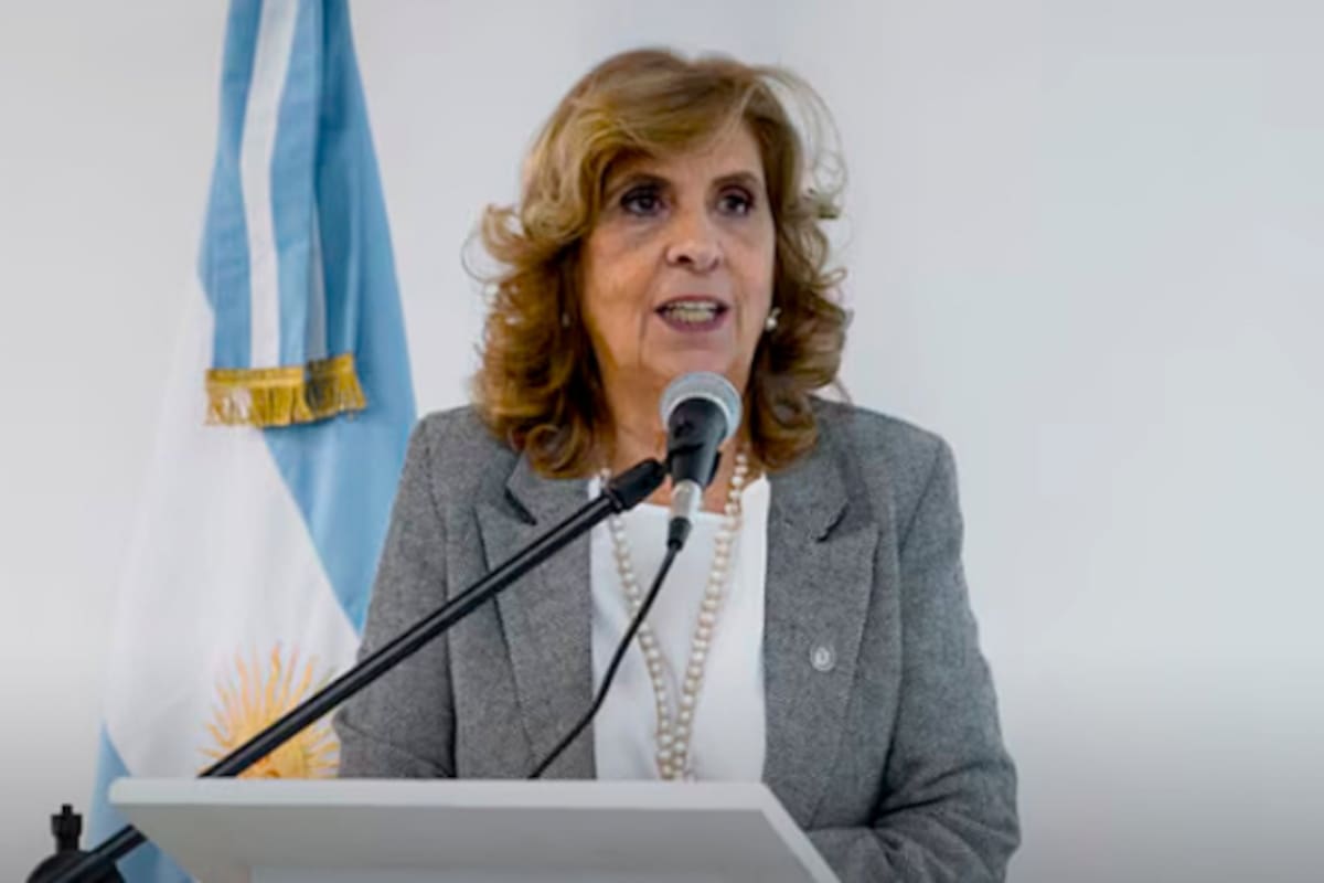La jueza Pascual suspendió por 60 días la aplicación del nuevo Régimen Penal Juvenil