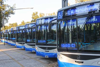 La jueza Paula Álvarez dictó la prisión preventiva al chofer acusado de violar a una joven de 19 años en pleno recorrido