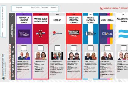 La Justicia Electoral deberá definir si se reimprimen las boletas y quién afrontará el costo millonario de la operación tras la renuncia de José Luis Espert