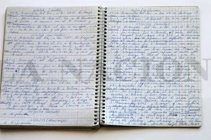 La Justicia frenó la ofensiva de dos compañías contra la exEnarsa para retomar la ejecución del Gasoducto del Noreste Argentino o, en su defecto, iniciarle un juicio millonario al Estado