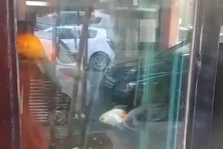 Rescataron dos peces de un local de sushi y el responsable recibió una probation