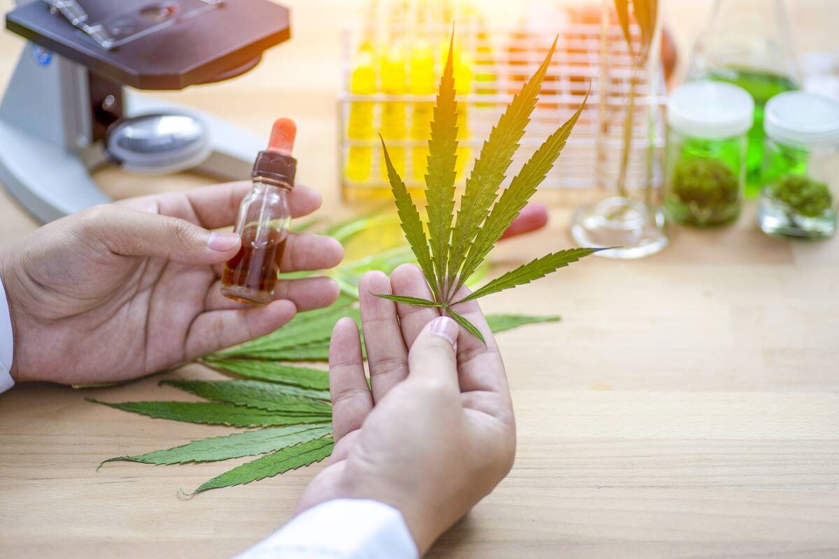 La Justicia rechazó hasta ahora las pretensiones de los padres