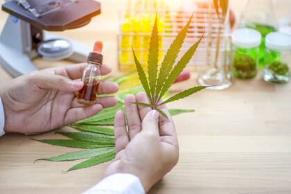 La Justicia rechazó hasta ahora las pretensiones de los padres