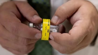 La ketamina es un fármaco utilizado en medicina y veterinaria por sus propiedades sedativas, aunque también tiene otros usos