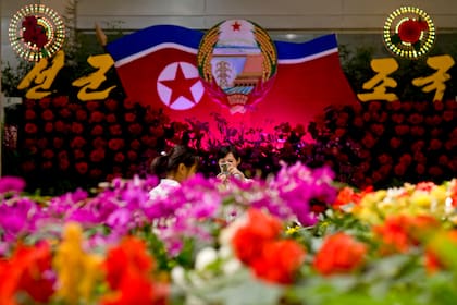 La "Kimjongilia", una flor creada en honor del abuelo del actual líder norcoreano
