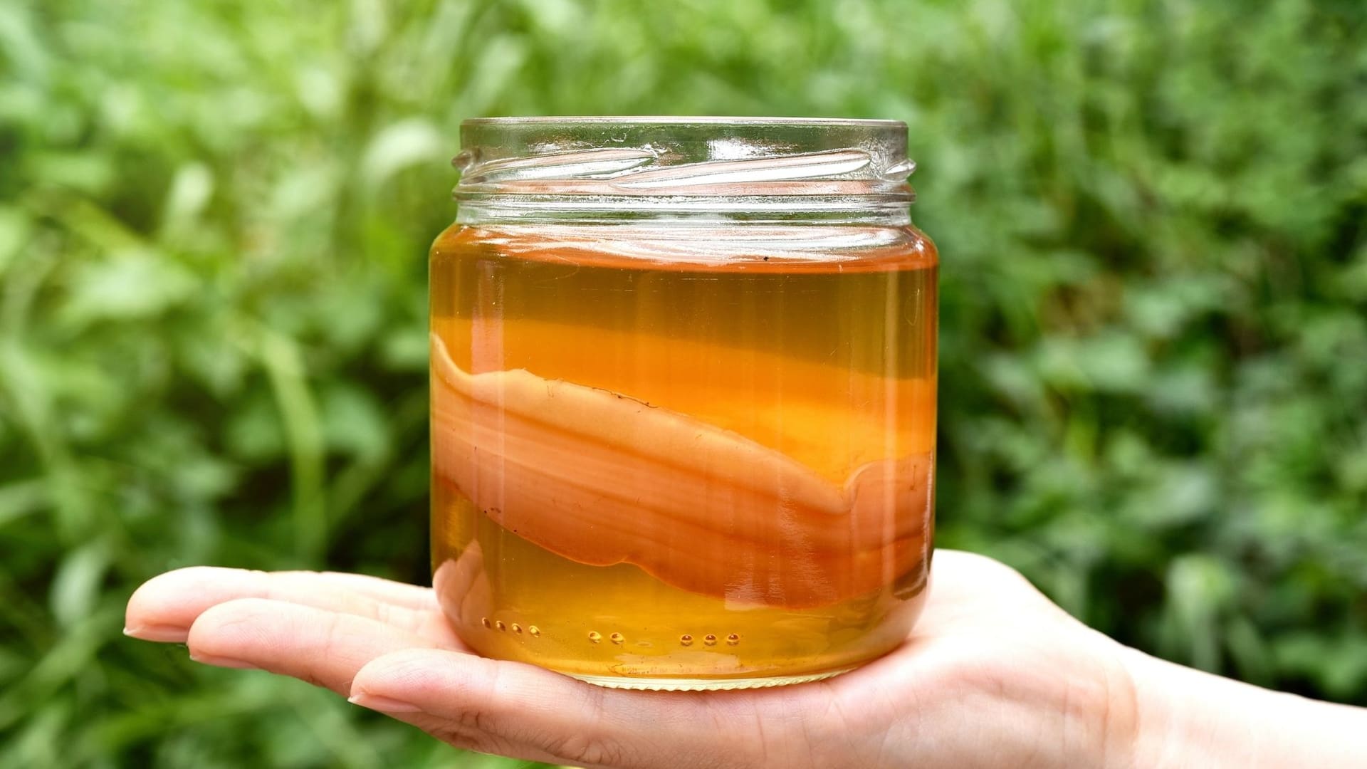 La kombucha está llena de probióticos naturales beneficiosos para el intestino y el sistema inmunológico