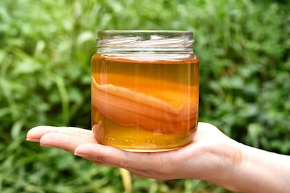 La kombucha parece tener beneficios para la salud. Foto: Canva