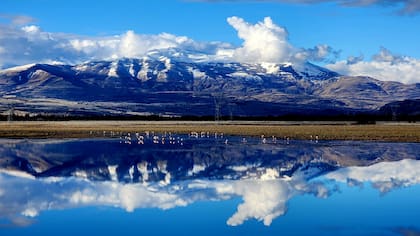 La laguna habitada por flamencos es un paseo a 15 minutos del glamping Nawal.