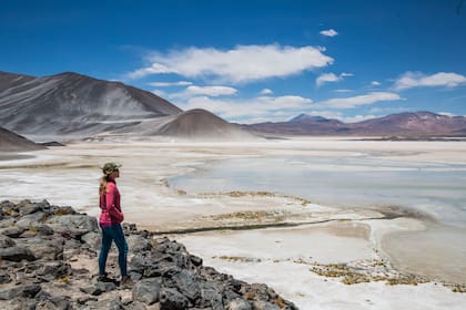 La laguna y el salar Aguas Calientes, a más de 4.000 metros de altura.