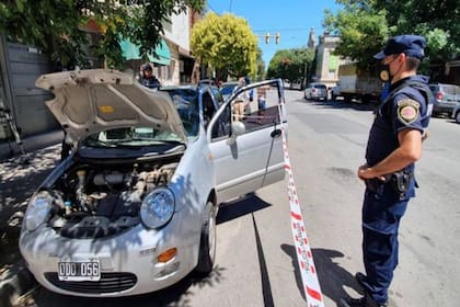 La lampalagua, de aproximadamente 50 centímetros de longitud, se había metido por el motor del auto y había ingresado al tablero, desde donde asomó la cabeza y fue descubierta por el horrorizado conductor