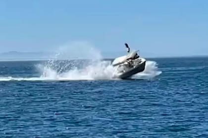 La lancha con turistas chocó contra una ballena en Baja California Sur, México, y ahora investigan el hecho