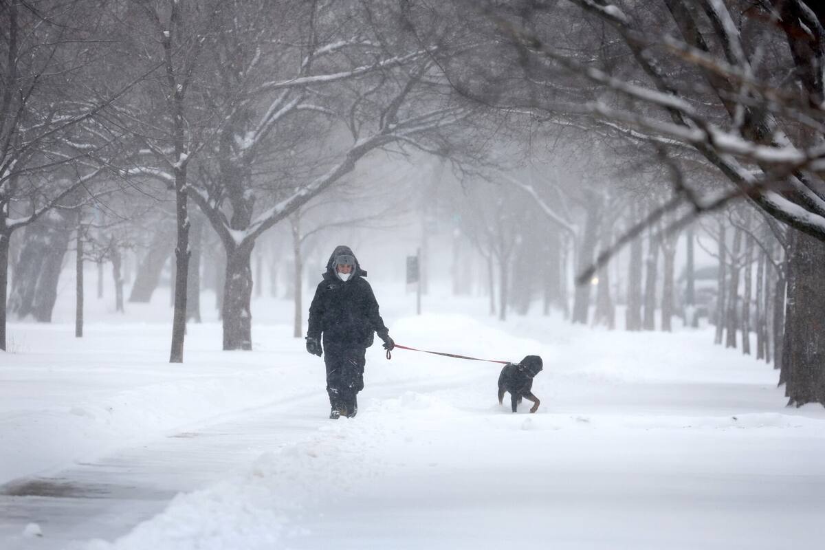 La larga duración de las nevadas permitió observar acumulaciones generalizadas de nieve de entre 6 y 11 pulgadas en el norte de Illinois y el noroeste de Indiana