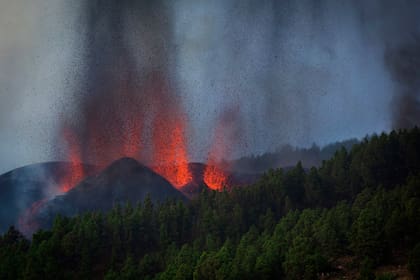 La lava fluye de la erupción de un volcán en la isla de La Palma en Canarias, España, el domingo 19 de septiembre de 2021. Un volcán en la isla española de La Palma en el océano Atlántico entró en erupción el domingo después de una acumulación de actividad sísmica de una semana, lo que provocó que las autoridades evacuar a miles mientras los flujos de lava destruían casas aisladas y amenazaban con llegar a la costa. Nuevas erupciones continuaron hasta la noche