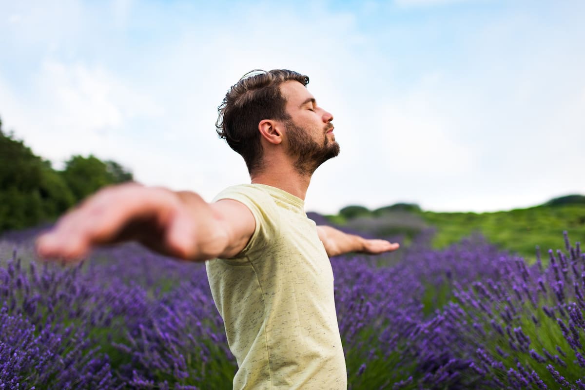 La lavanda es una de las hierbas más versátiles: olerla calma la ansiedad y promueve un mejor descanso