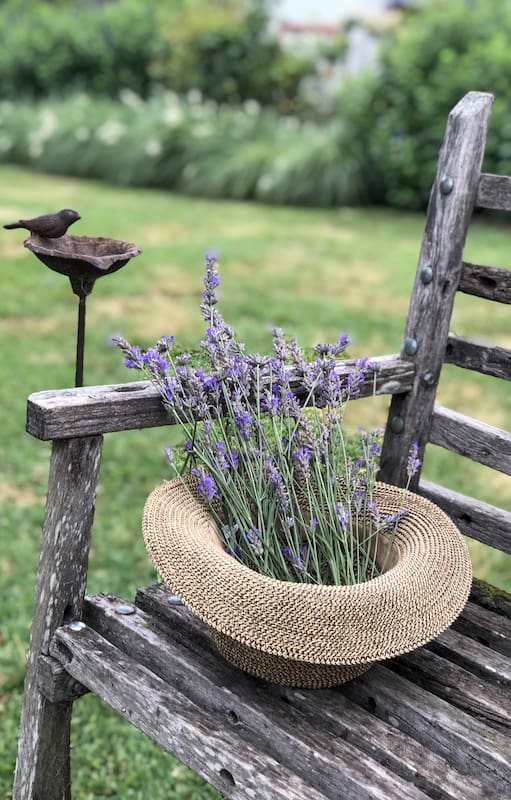 La lavanda es una planta muy versátil que tiene muchos usos, entre ellos: como arreglo floral