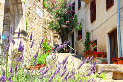 La lavanda, playas y callejuelas de la ciudad croata de Hvar harán las delicias de las personas de Géminis