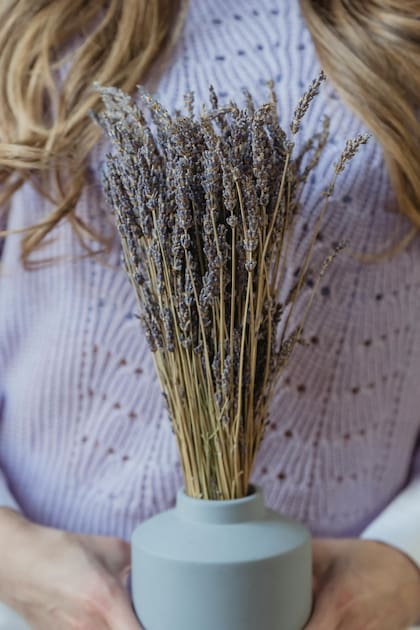 La lavanda y el lirio de la paz no solo embellecen, también purifican el aire y calman el ambiente