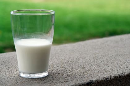 La leche está contraindicada en las personas que no toleran la lactosa (Foto Pexels)