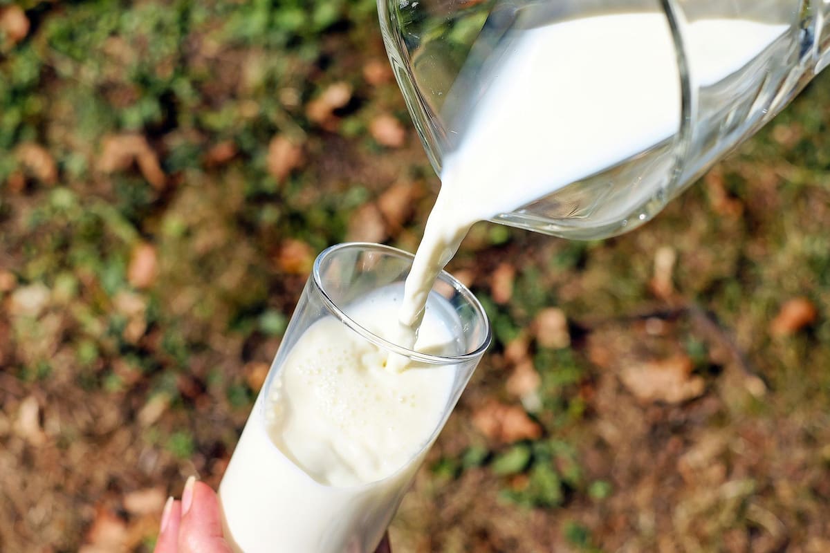La leche, un alimento clave