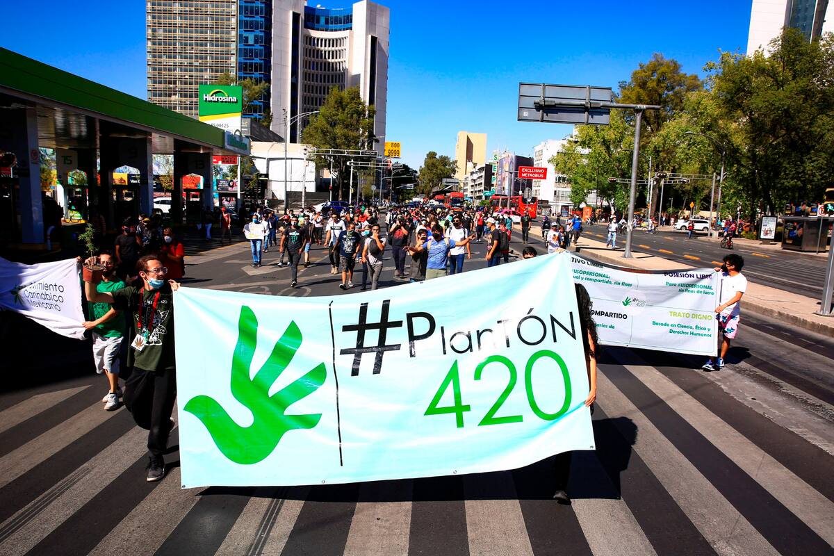 La legalización de la marihuana en varios estados de EE.UU. hizo que las celebraciones del 20 de abril ganen popularidad