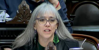 La legisladora Adriana Serquis