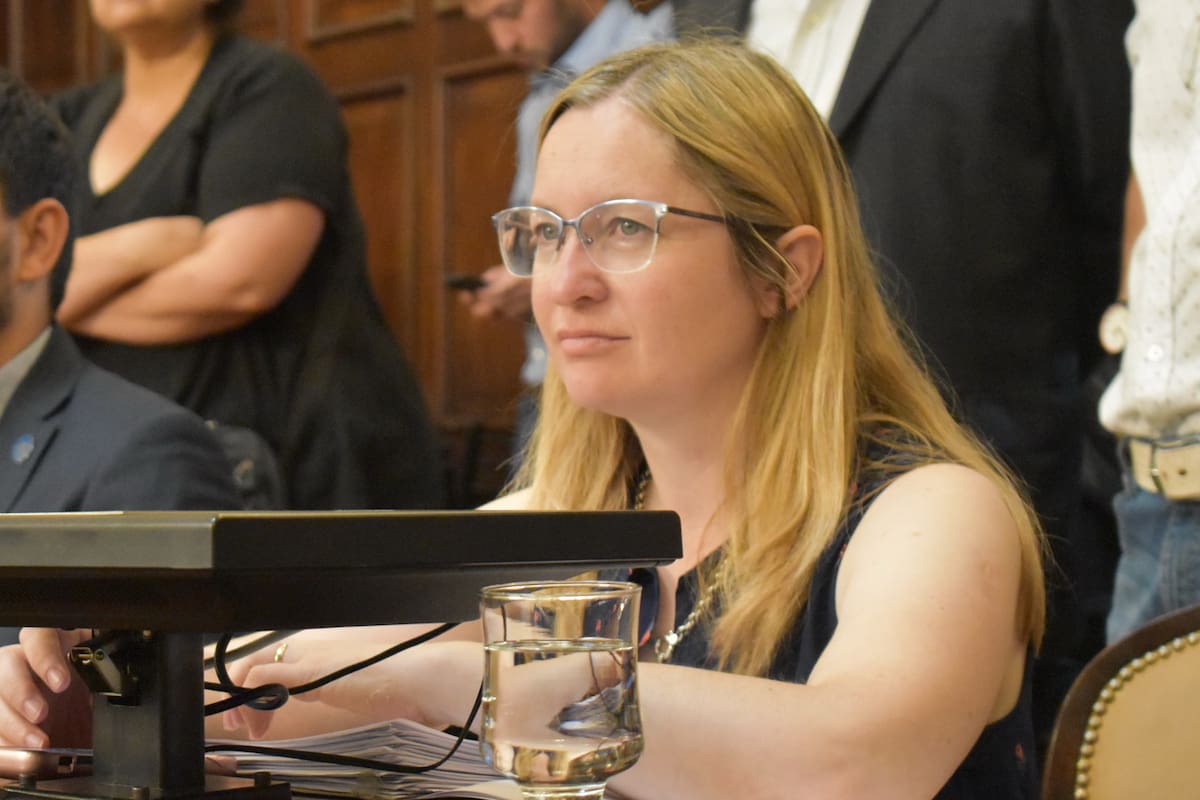 La legisladora del Pro, Hebe Casado negó la cifra de desaparecidos en la última dictadura militar y provocó una fuerte controversia. Asegura que quiso criticar el manejo de la pandemia.